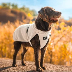 Bigfoot Dog Jacket Koira