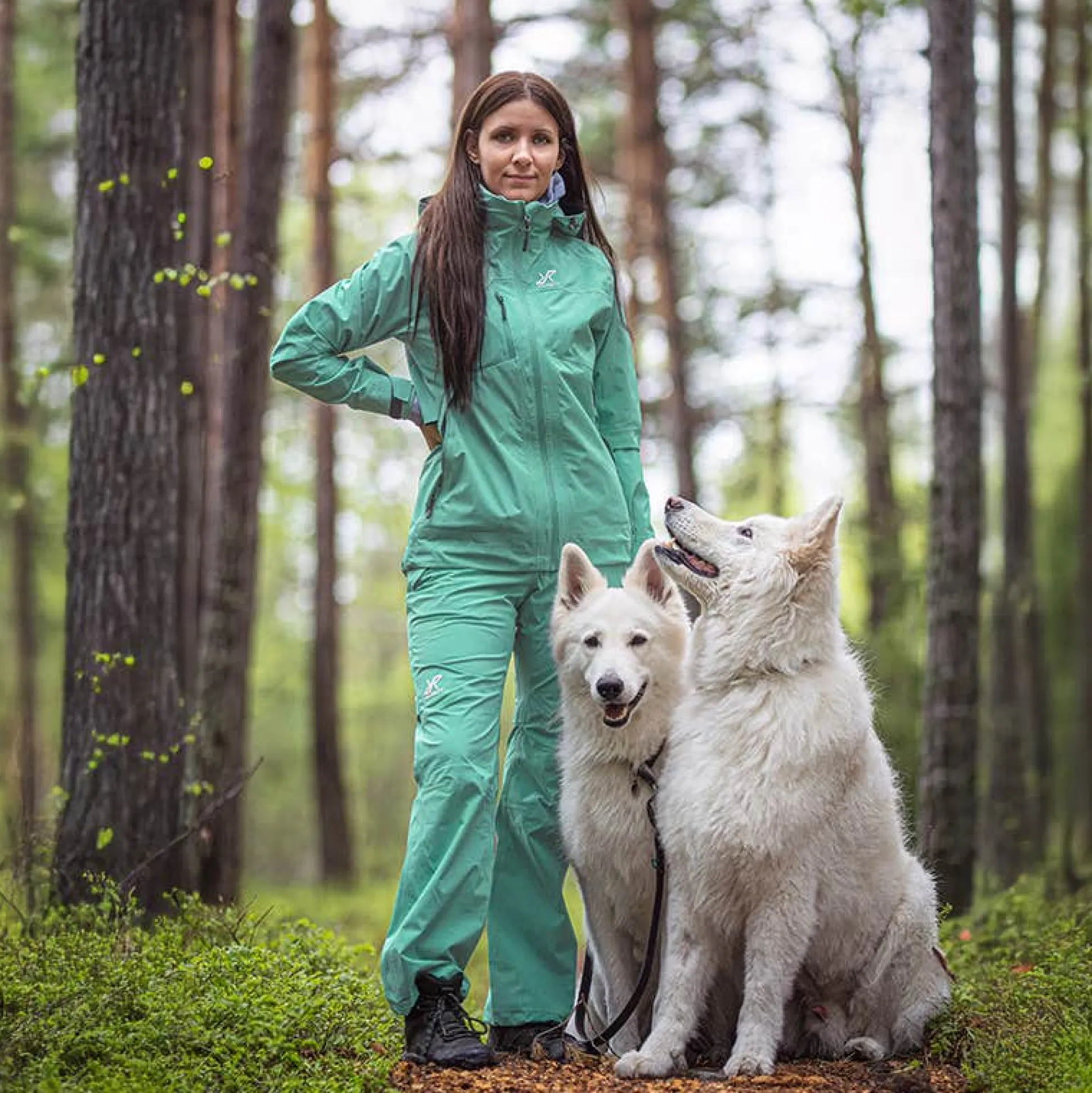 Cloud 3L Shell Jacket Naiset