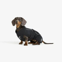 Cyclone Dog Jacket Koira