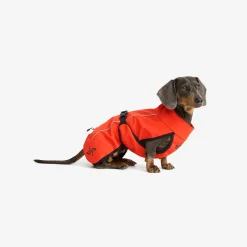 Cyclone Dog Jacket Koira