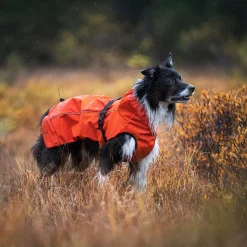 Cyclone Dog Jacket Koira