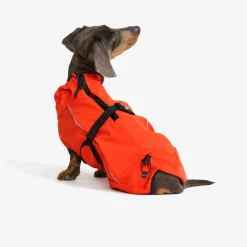 Cyclone Dog Jacket Koira