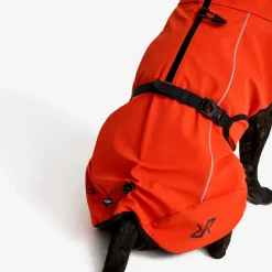 Cyclone Dog Jacket Koira