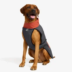 Cyclone Dog Jacket Koira