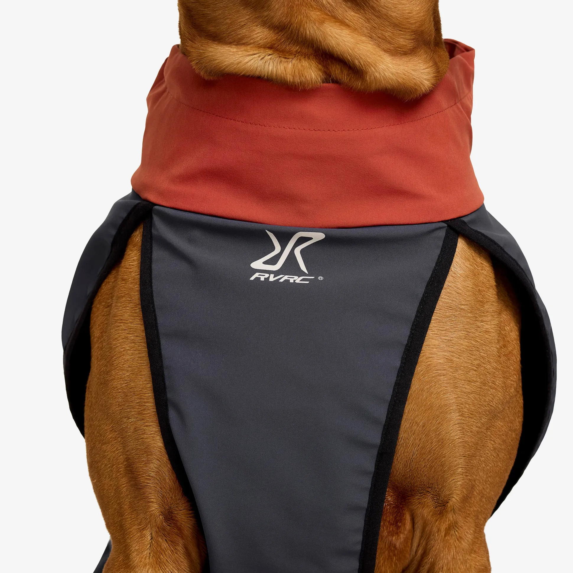 Cyclone Dog Jacket Koira