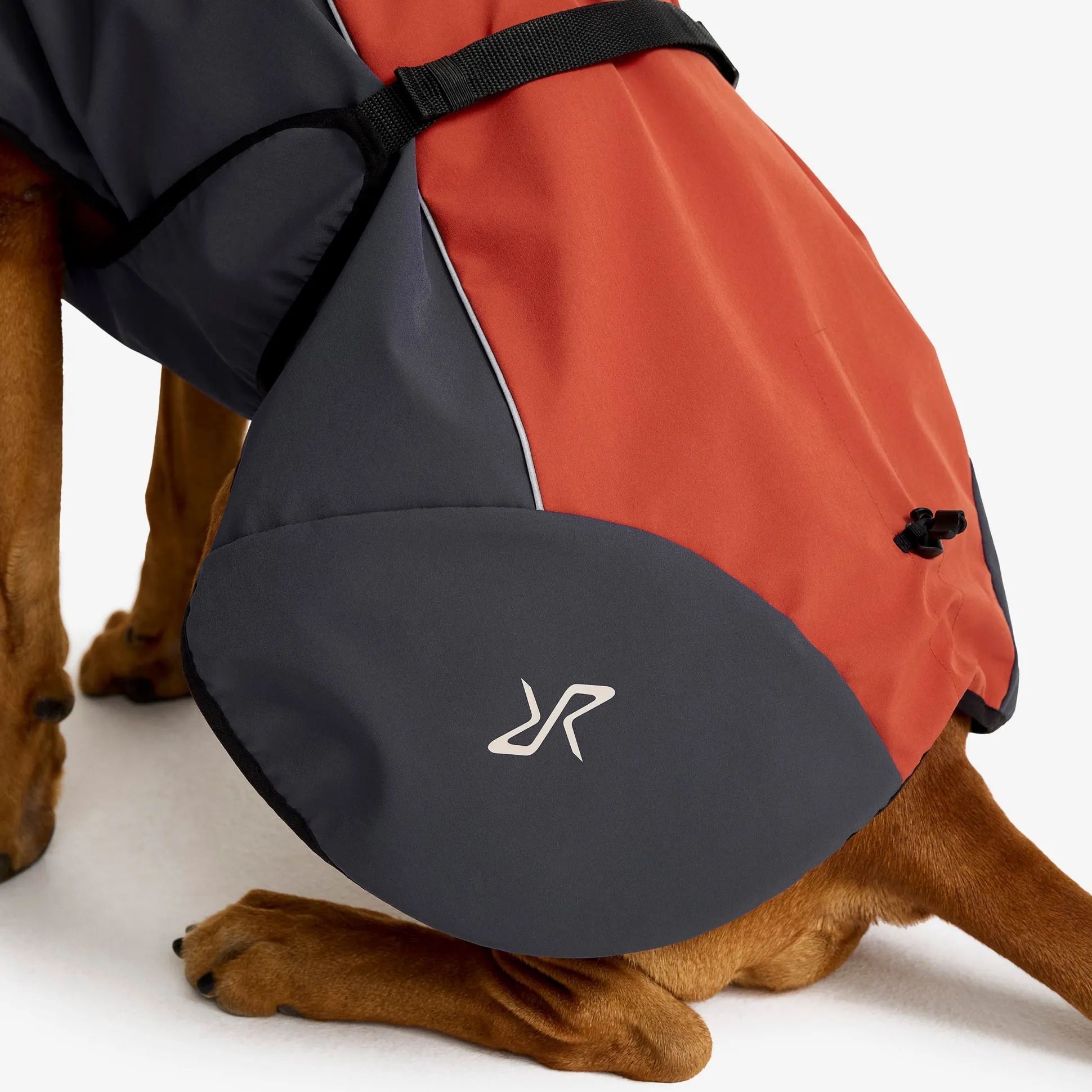 Cyclone Dog Jacket Koira