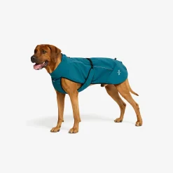 Cyclone Dog Jacket Koira