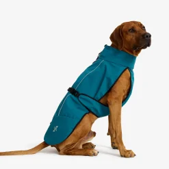 Cyclone Dog Jacket Koira
